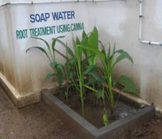 canna treatmnet