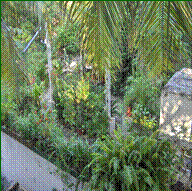 indrakumars terrace