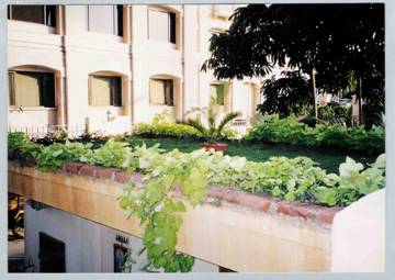 a terrace garden